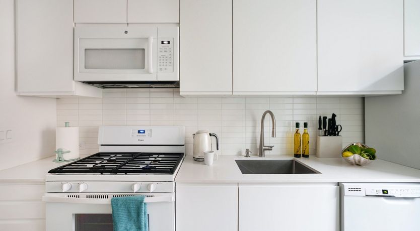 Photo of The Mesmerised Voyager