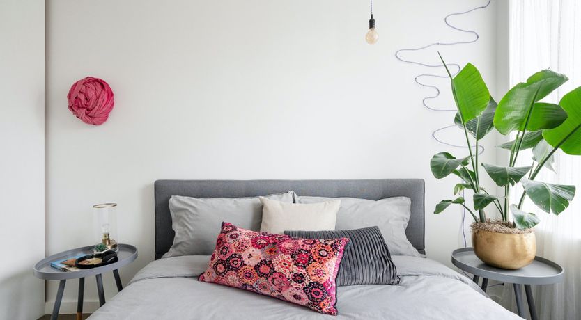 Photo of The Mesmerised Voyager