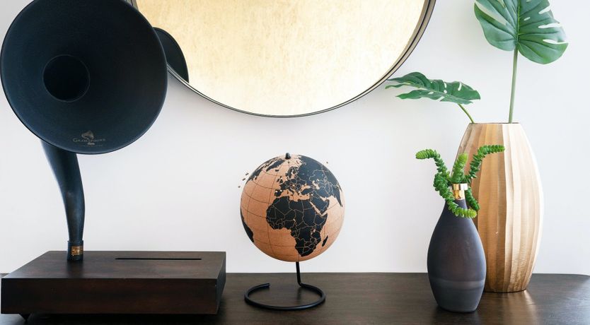 Photo of The Mesmerised Voyager