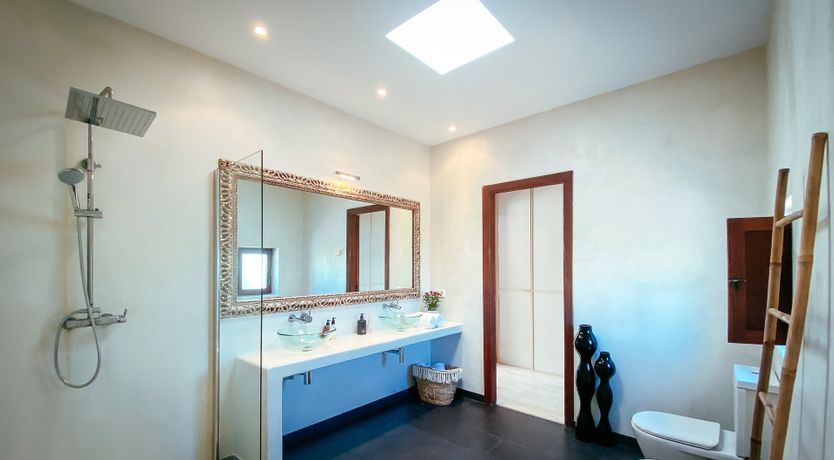 Photo of Night Swimming