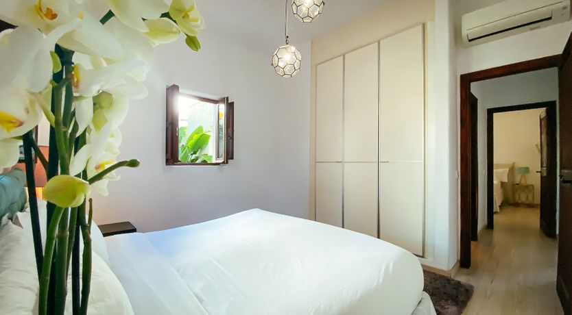 Photo of Night Swimming