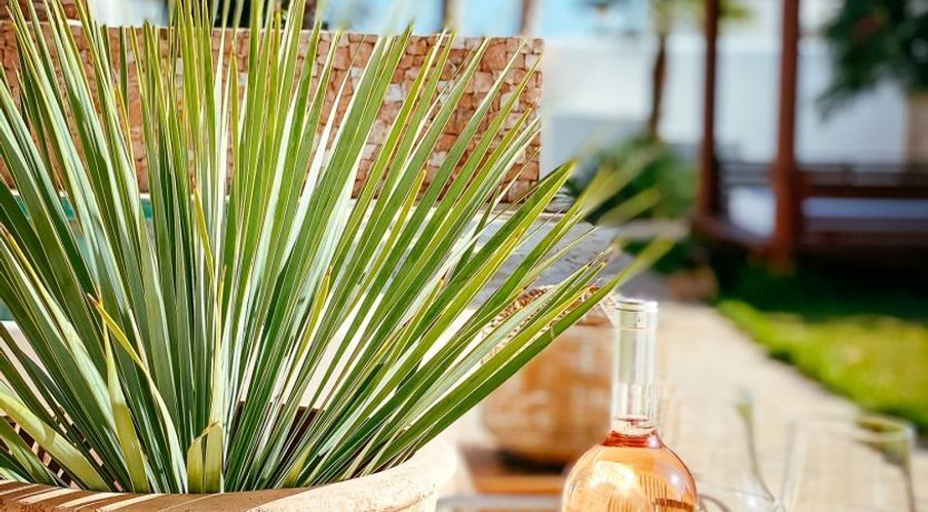 Photo of Night Swimming