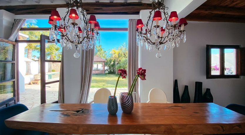 Photo of Night Swimming