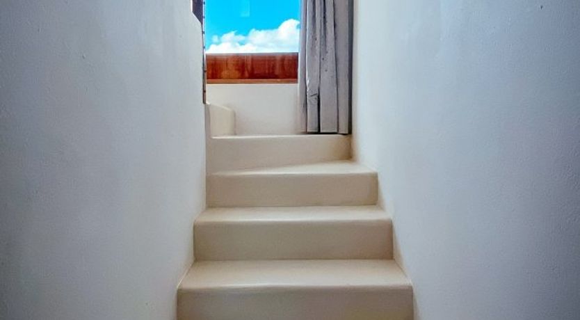 Photo of Night Swimming