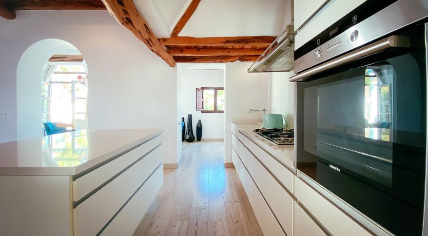 Photo of Night Swimming