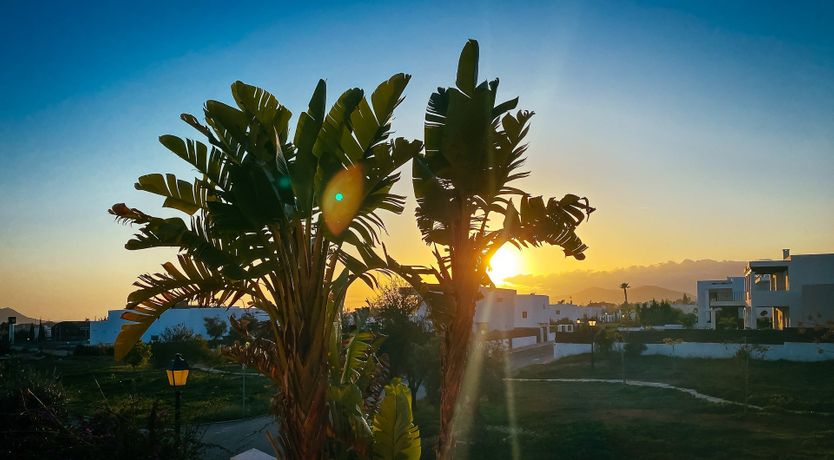 Photo of Night Swimming