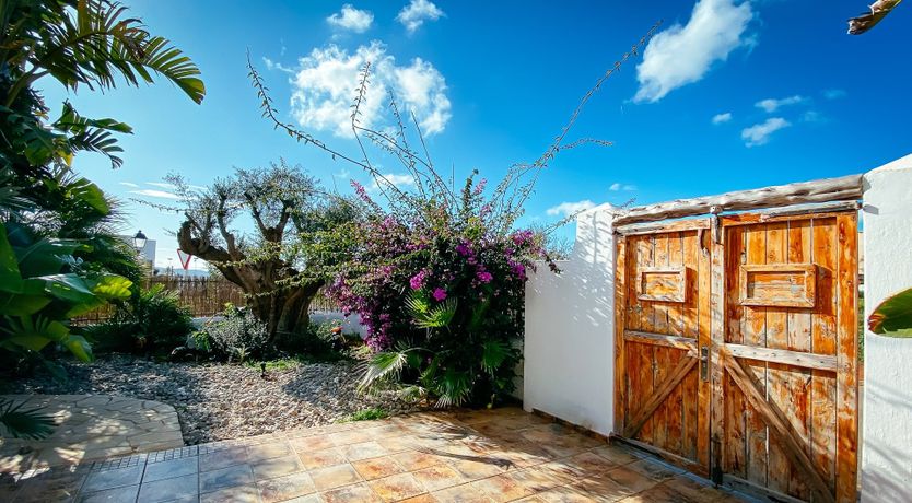 Photo of Night Swimming
