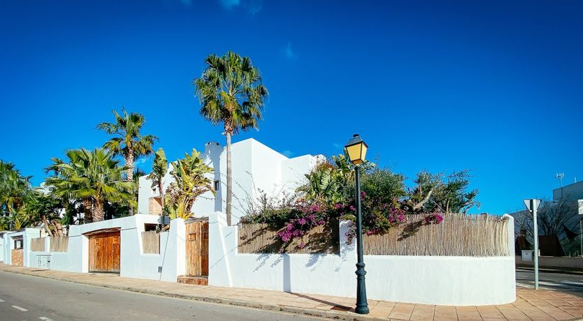 Photo of Night Swimming