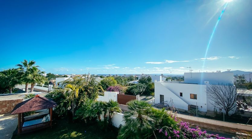 Photo of Night Swimming