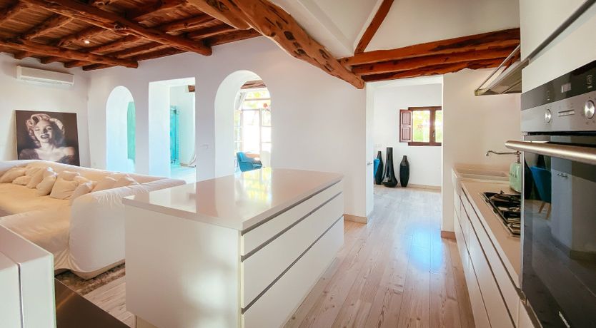 Photo of Night Swimming