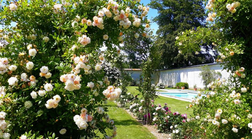 Photo of Chateau National Treasure