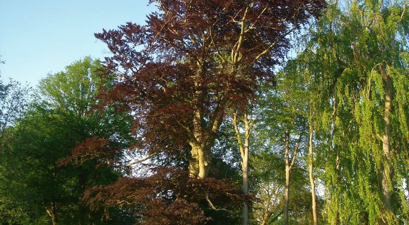 Photo of Chateau National Treasure