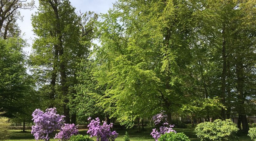 Photo of Chateau National Treasure