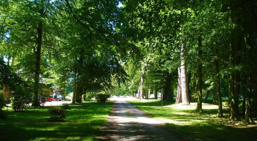 Photo of Chateau National Treasure