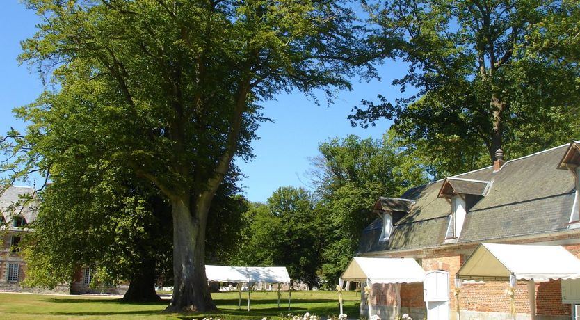 Photo of Chateau National Treasure