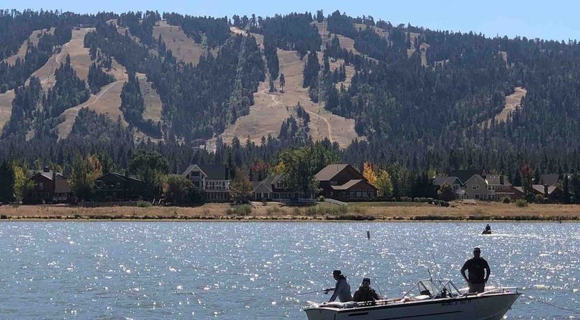 Photo of The Log Cab-Inn