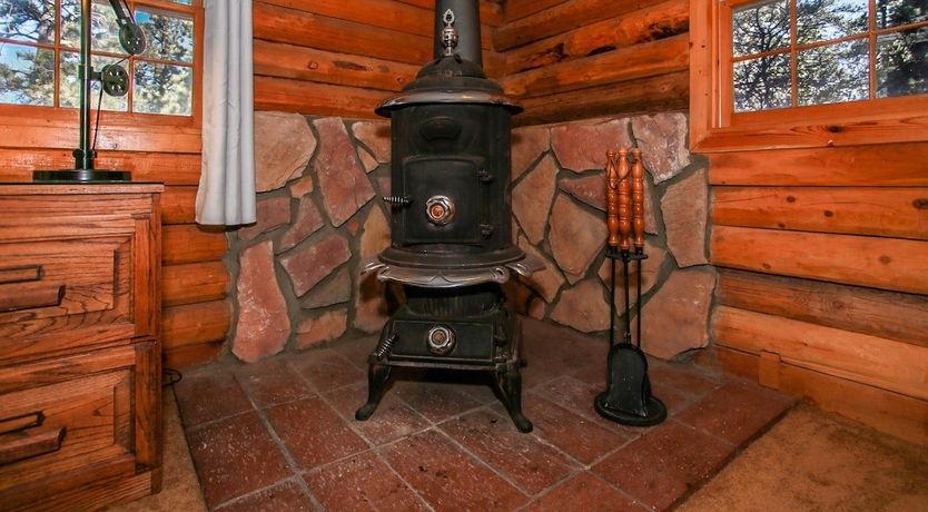 Photo of The Log Cab-Inn