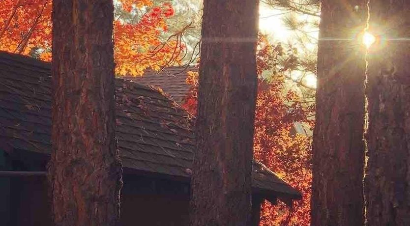 Photo of The Log Cab-Inn