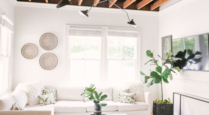 Photo of Lime Green Wish