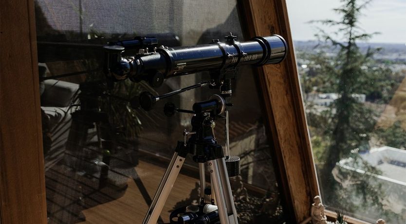 Photo of The Hollywood Treehouse