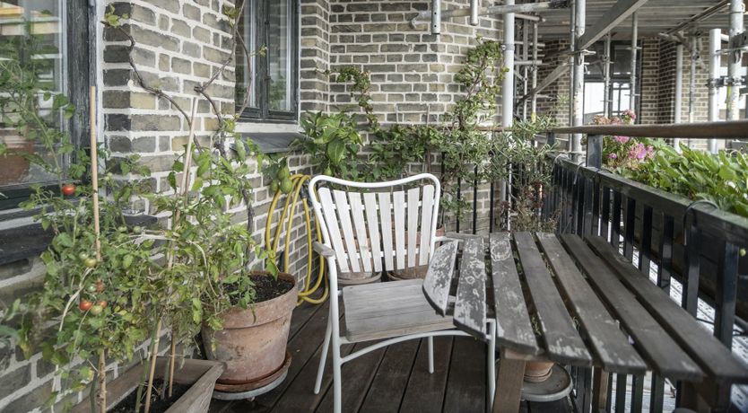 Photo of Nordic Climate