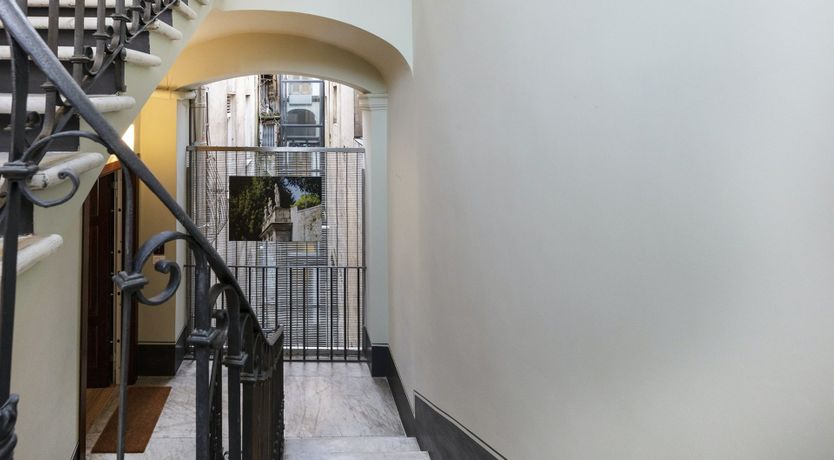 Photo of Purple Grapes