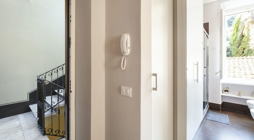 Photo of Purple Grapes