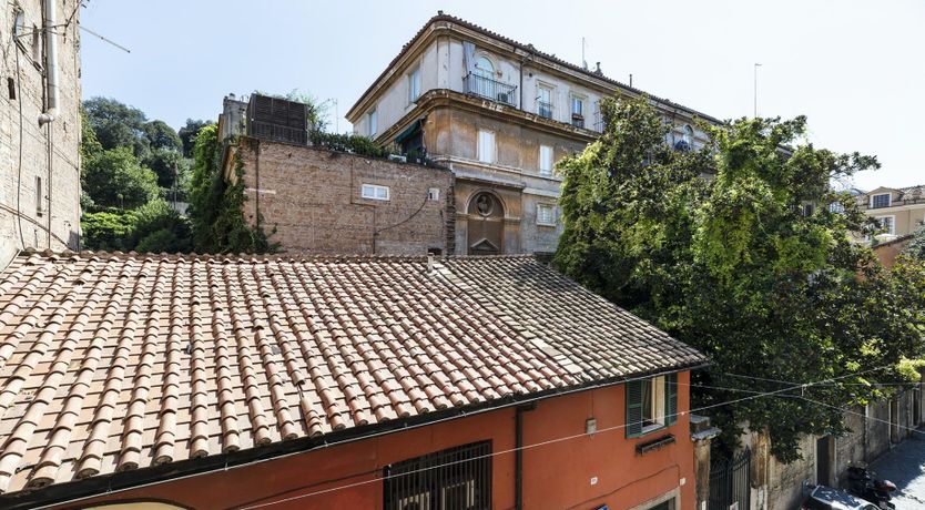 Photo of Purple Grapes