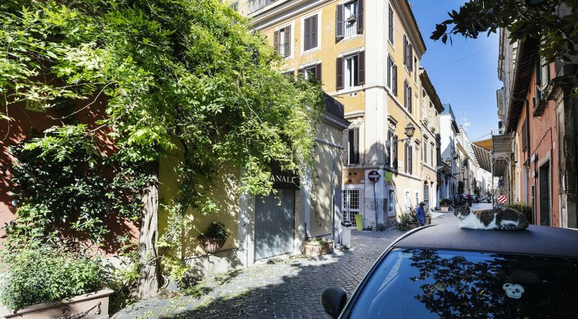 Photo of Purple Grapes