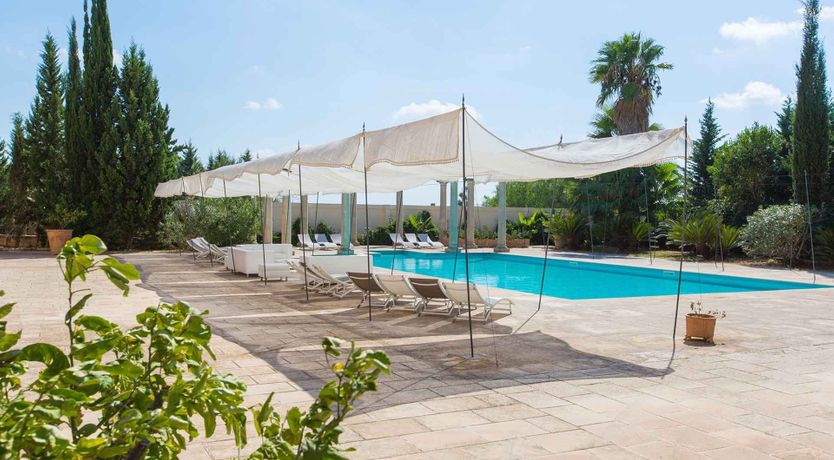 Photo of Purple Mosaic