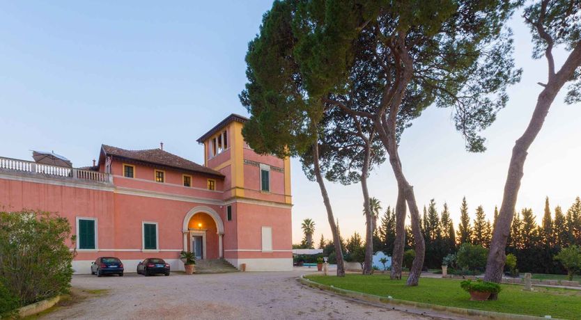 Photo of Purple Mosaic