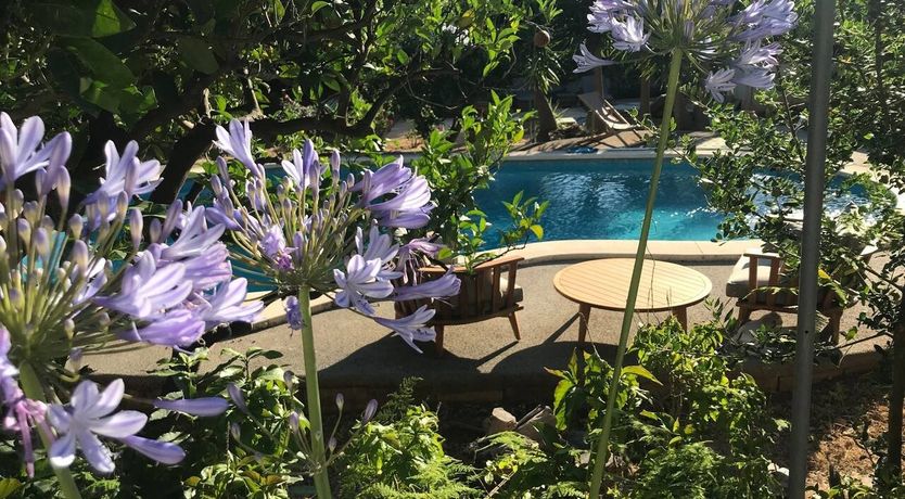 Photo of Golden Hour Grazer