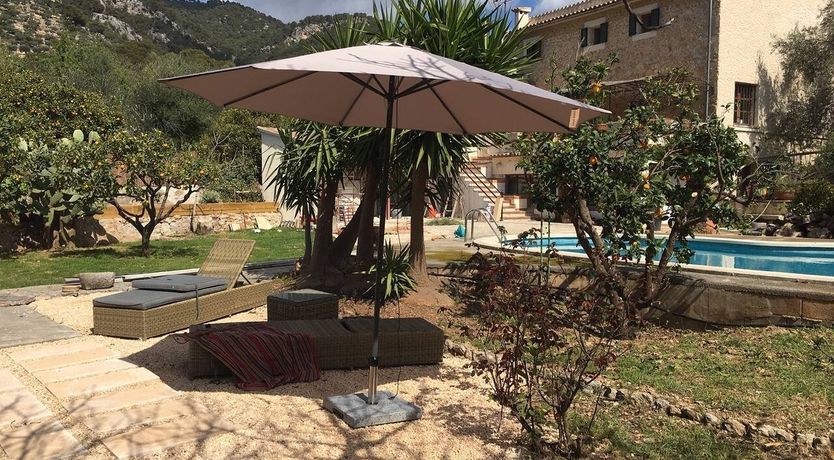 Photo of Golden Hour Grazer