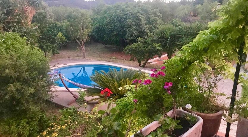 Photo of Golden Hour Grazer