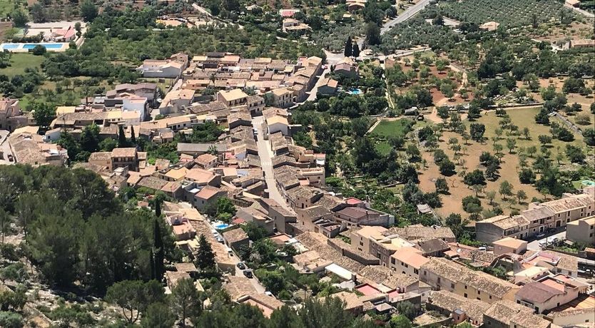 Photo of Golden Hour Grazer