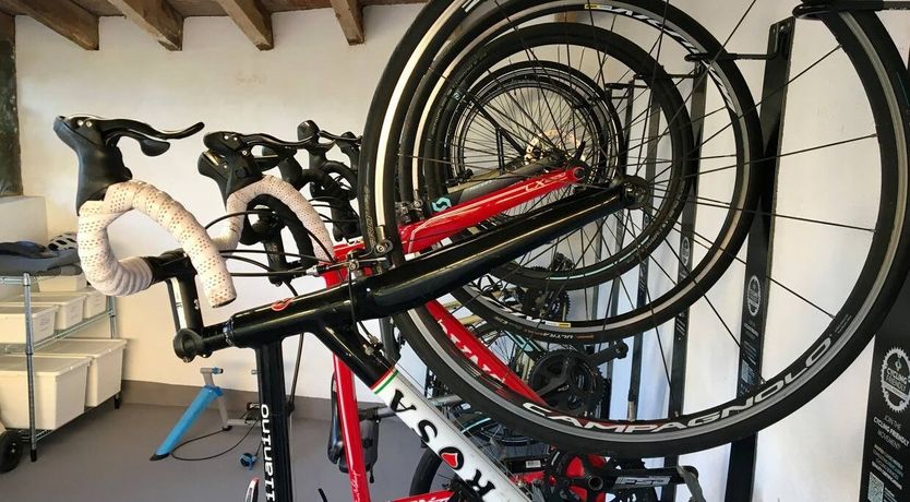 Photo of Golden Hour Grazer