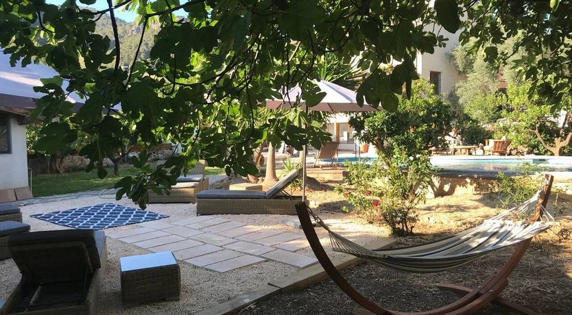 Photo of Golden Hour Grazer