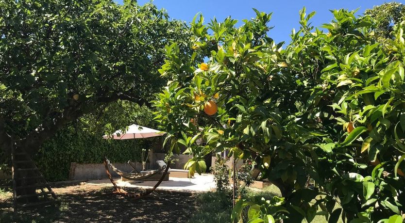 Photo of Golden Hour Grazer