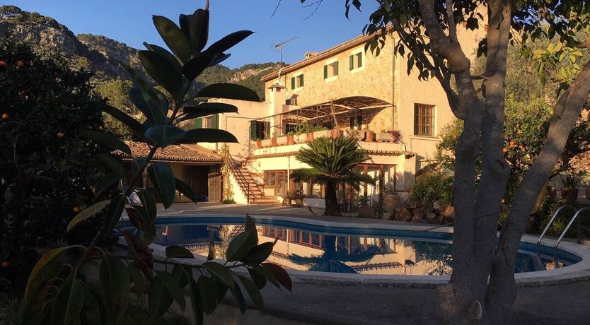 Photo of Golden Hour Grazer