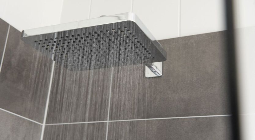 Photo of Quail Trail