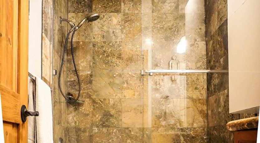 Photo of The Quiet Forest