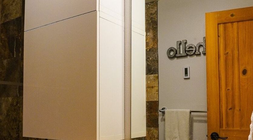 Photo of The Quiet Forest