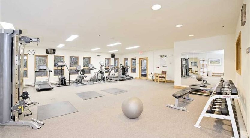 Photo of The Quiet Forest