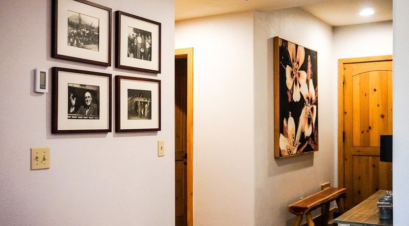 Photo of The Quiet Forest