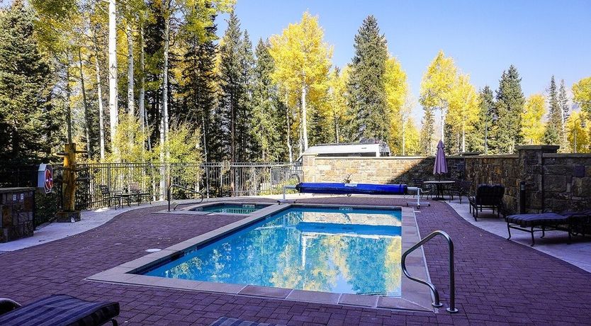 Photo of The Quiet Forest