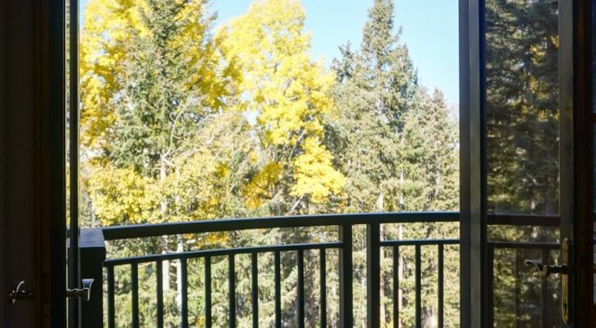 Photo of The Quiet Forest