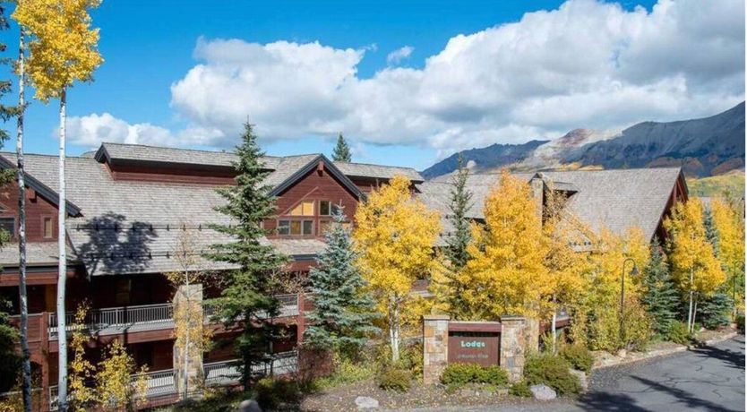 Photo of The Quiet Forest