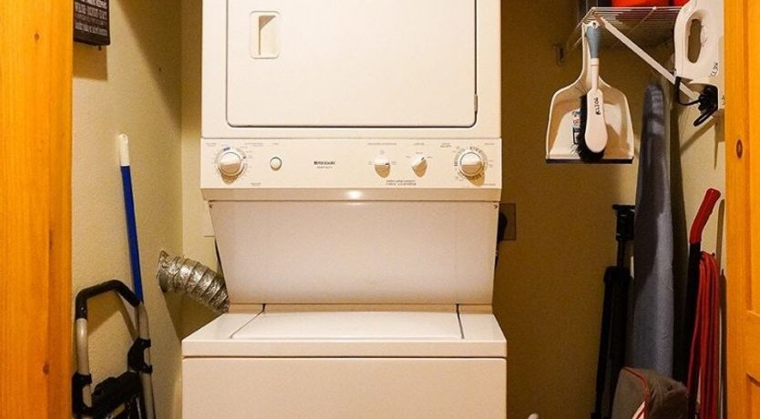 Photo of The Quiet Forest