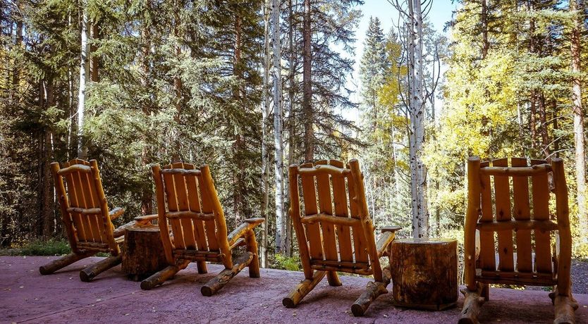 Photo of The Quiet Forest