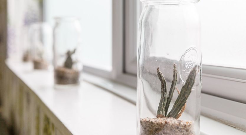 Photo of Hitchcock's Map